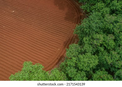 Aerial view ; Rows of soil before planting.Sugar cane farm pattern in a plowed field prepared for background
