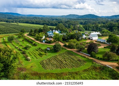 An aerial view of rural ranch with planted field near to a dense forest in bright sunlight