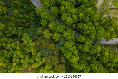 Aerial view of a rural road passing through a forest in Aichi Prefecture, Japan.