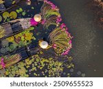 Aerial view of rural women in Moc Hoa district, Long An province, Mekong Delta are harvesting water lilies. Water lily is a traditional dish here. Travel and landscape concept