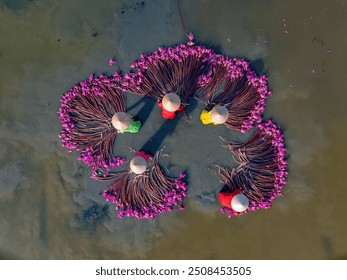 Aerial view of rural women in Moc Hoa district, Long An province, Mekong Delta are harvesting water lilies. Water lily is a traditional dish here. Travel and landscape concept - Powered by Shutterstock