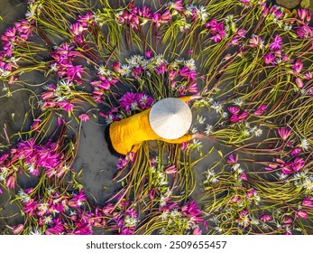 Aerial view of rural women in Moc Hoa district, Long An province, Mekong Delta are harvesting water lilies. Water lily is a traditional dish here. Travel and landscape concept - Powered by Shutterstock