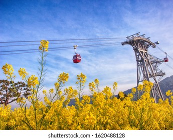 Aerial View of Sacheon Cable Car at Sunrise, Sacheon, Gyeongnam, South Korea, Asia - Powered by Shutterstock