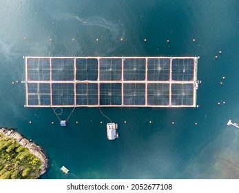 Aerial View Of Salmon Farms In The Reloncaví Estuary, Los Lagos Region In Southern Chile.