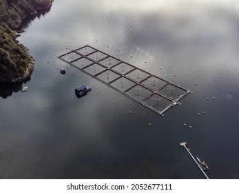 Aerial view of salmon farms in the Reloncaví estuary, Los Lagos Region in southern Chile. - Shutterstock ID 2052677111