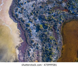 Aerial View Of Salt Marsh At Pink Lake Inlet Near Hutt Lagoon Western Australia