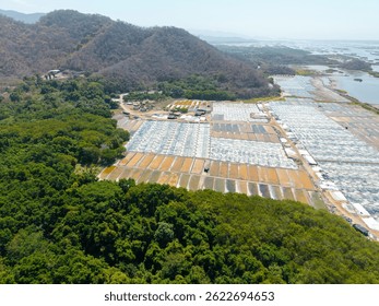Vista Aéreas de las minas de sal de la laguna de Cuyutlan en Colima, recolección artesanal de sal marina.