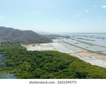 Vista Aéreas de las minas de sal de la laguna de Cuyutlan en Colima, recolección artesanal de sal marina.