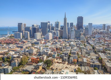 Aerial view of San Francisco Financial District and Transamerica Pyramid from the top of Coit Tower on sunny day, California, United States.