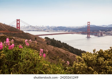 Aerial View of San Francisco with Golden Gate Bridge - 4K Ultra HD Image - Powered by Shutterstock