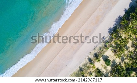 Aerial view sandy beach and waves Beautiful tropical sea in the morning in summer season with coconut palm trees on beach. Aerial view drone shot. high angle view Top down seascape