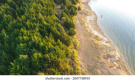 Aerial View Sandy Shore Line With People Bank Fishing At Ticky Creek Park, Northern End Of Lake Lavon In Princeton, Texas, America.