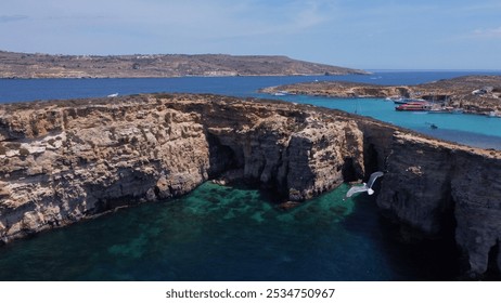 Aerial view of the sea caves of Cominotto uninhabited island near Comino, Maltese islands. Seagull flying in the frame. High quality photo - Powered by Shutterstock