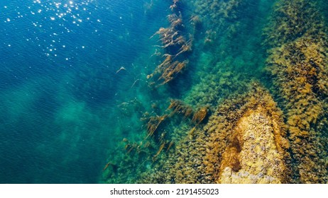 Aerial View Of Sea Waves And Fantastic Rocky Shore. Reefs And Algae Near The Shores Of The Norwegian Sea. Norway