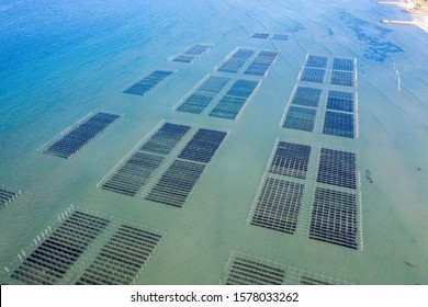 Aerial View Of Seaweed Farming In Asia