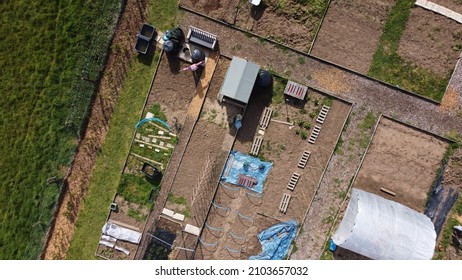 Aerial View Of A Section Of Allotment Looking Directly From Above