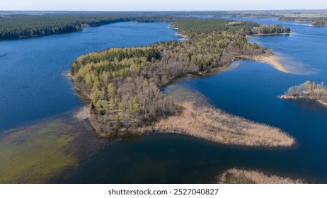 Aerial view of a serene lake surrounded by lush green forests and wetlands. The water is calm, reflecting the blue sky and trees. The landscape features land and water, with reeds and sandy shores. - Powered by Shutterstock