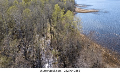 Aerial view of a serene lake surrounded by lush green forests and wetlands. The water is calm, reflecting the blue sky and trees. The landscape features land and water, with reeds and sandy shores. - Powered by Shutterstock