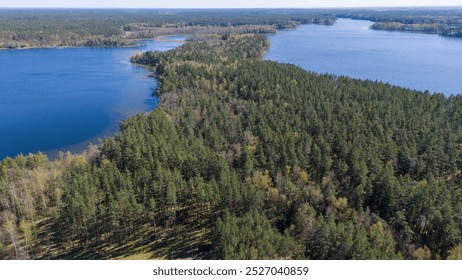 Aerial view of a serene lake surrounded by lush green forests and wetlands. The water is calm, reflecting the blue sky and trees. The landscape features land and water, with reeds and sandy shores. - Powered by Shutterstock