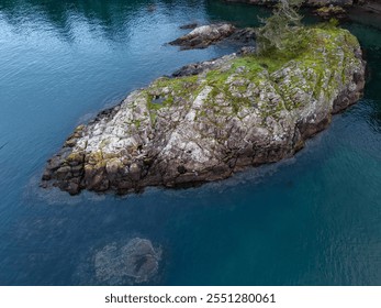 Aerial view of a serene rocky shoreline on Vancouver Island, BC, showcasing natural beauty and clear turquoise waters, perfect for nature lovers and adventure seekers. - Powered by Shutterstock