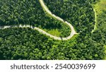 Aerial View of Serpentine Road through Lush Forest. A winding serpentine road cutting through dense, lush green forest with scattered vehicles.