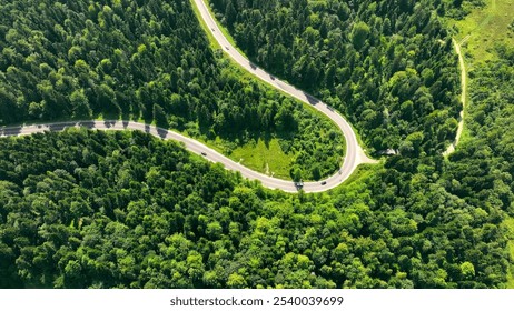 Aerial View of Serpentine Road through Lush Forest. A winding serpentine road cutting through dense, lush green forest with scattered vehicles. - Powered by Shutterstock