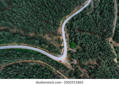 Aerial view of a serpentine road winding through the lush green forest of Tara Park, Serbia - Powered by Shutterstock