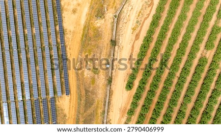 Aerial view showing parallel rows of solar photovoltaic panels next to green agricultural crops on an Andalusian field, Spain