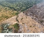 An aerial view shows the stark effects of deforestation, revealing large areas of cleared land and the environmental impact of forest loss on the landscape.