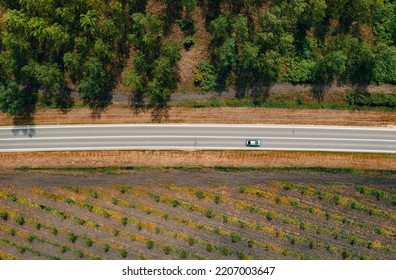 Aerial View Of Single Gray Car Driving Along The Highway Through Wooded Landscape On Sunny Summer Day, Travel Concept