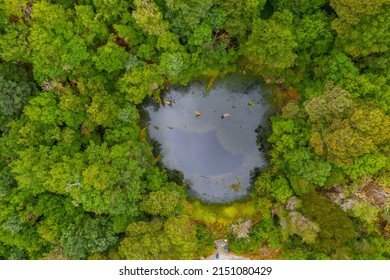 Aerial View Of A Sinkhole At Tarkine Forest In Tasmania, Australia