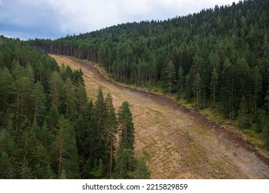 
Aerial View Of Ski Slope Path In Golden Pine Forest At Zlatibor Mountain In Serbia, Shot From Cable Car. Scenic View Of Zlatibor Mountain In Summer.