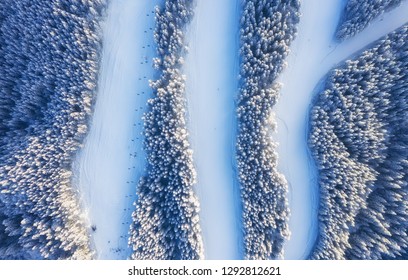 Aerial view at the slope on ski resort. Forest and ski slope from air. Winter landscape from a drone. Snowy landscape on the ski resort. Aerial photography