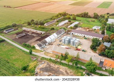 Aerial View Of A Small Farm, Agriculture, Eco Products