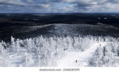 Aerial view of a small group of hikers walking though winter frozen forest. Clip. Concept of tourism. - Powered by Shutterstock