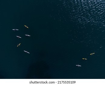 Aerial View Of A Small Group Of People Sea Kayaking