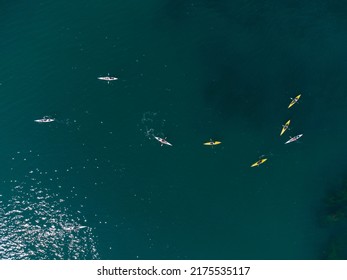 Aerial View Of A Small Group Of People Sea Kayaking