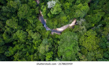 Aerial View Of A Small River In The Green Thick Amazon Jungle