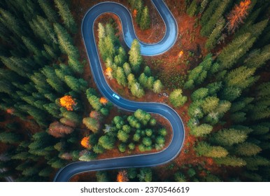 Aerial view of snake road in colorful autumn forest at sunrise. Dolomites, Italy. Top view of winding road in woods. Beautiful landscape with highway, green pine trees, red leaves in fall. Nature
