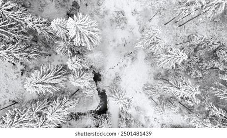 Aerial view of snow covered trees with stream.
 - Powered by Shutterstock