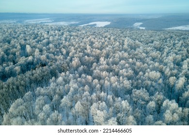 Aerial view of snow covered white forest with frozen trees in cold winter. Dense wild woodland in wintertime - Powered by Shutterstock