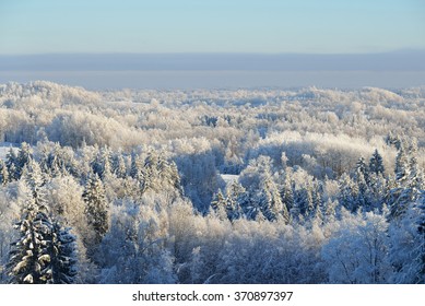 Aerial view of snow and rime covered forest