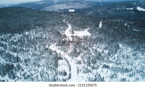 Aerial view of snowmobilers in a forest trail in the mountains
