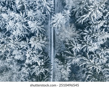 Aerial view of snowy road and forest in winter, Poland. Wildlife in winter Poland, Europe. - Powered by Shutterstock