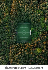 Aerial view of a soccer field in the forest, tall trees around the stadium.