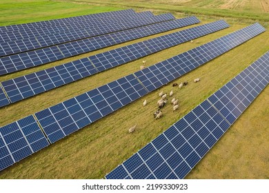 Aerial view of solar panels and sheep eating on a green grass field. Alternative energy source. - Shutterstock ID 2199330923