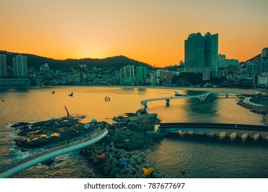 Aerial View Songdo Beach Busan City Stock Photo 787677697 | Shutterstock