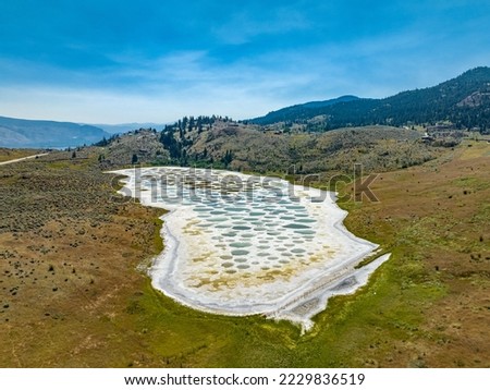 Aerial view of Spotted Lake, saline, alkaline lake located in Osoyoos in heart of valley in British Columbia, Canada