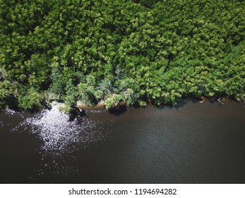 Aerial View Of The St. Lucie River And Trees.