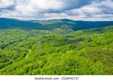 Aerial View Of Strandzha Mountains In Bulgaria